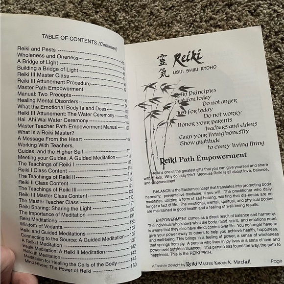 Book Reiki: A Torch in Daylight by Karyn K. Mitchell A Reiki reference guide - Picture 5 of 9